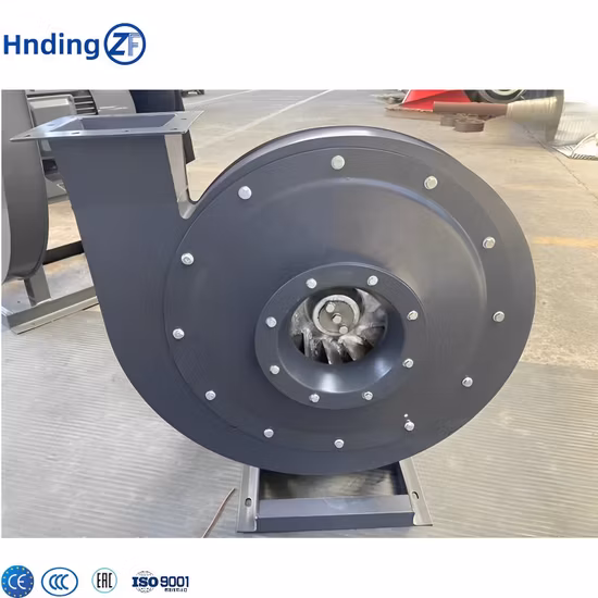 High-End FKM NBR SC TC Skeleton Oil Seal for Hydraulic Sealing Black Brown Red double lip slingle lip Rubber EPDM HNBR Neoprene Silicone oil seal