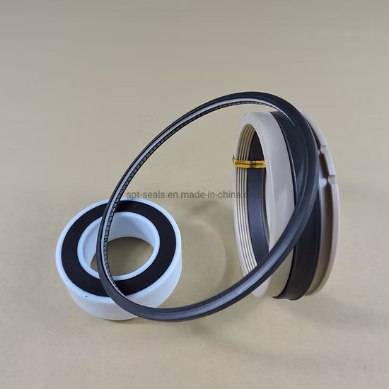 Joints alimentés par ressort personnalisés SS304 PTFE utilisés dans la marine